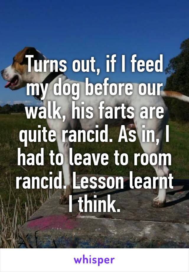 Turns out, if I feed my dog before our walk, his farts are quite rancid. As in, I had to leave to room rancid. Lesson learnt I think.