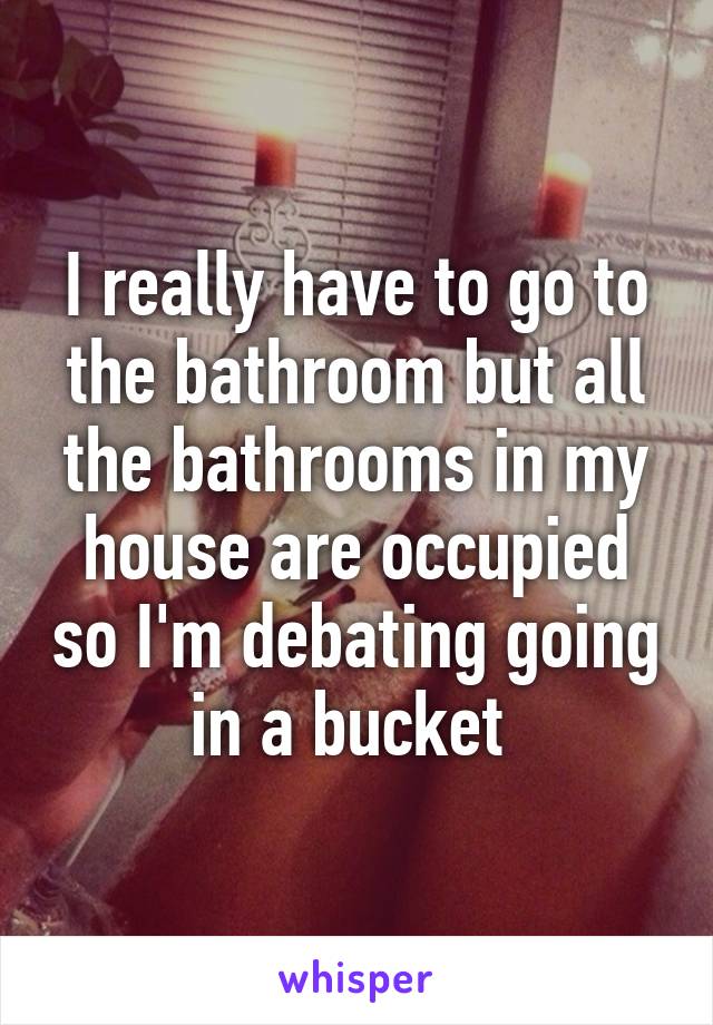 I really have to go to the bathroom but all the bathrooms in my house are occupied so I'm debating going in a bucket 