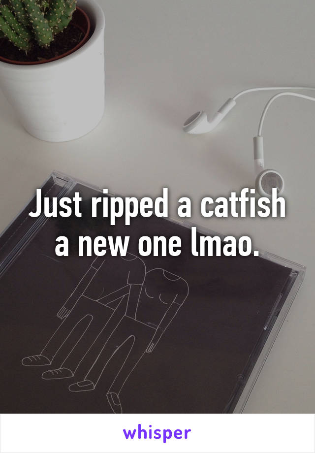 Just ripped a catfish a new one lmao.