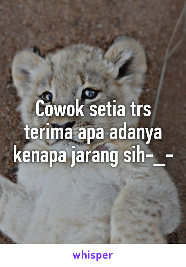 Cowok setia trs terima apa adanya kenapa jarang sih-_-