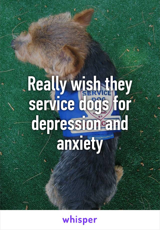 Really wish they service dogs for depression and anxiety