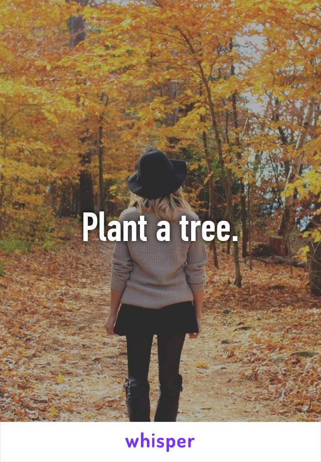 Plant a tree.