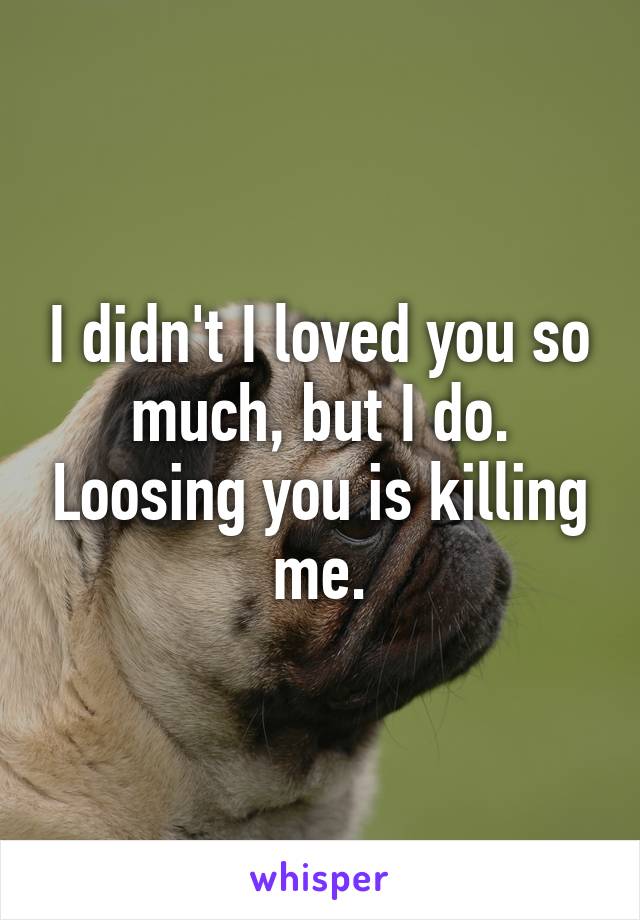 I didn't I loved you so much, but I do. Loosing you is killing me.