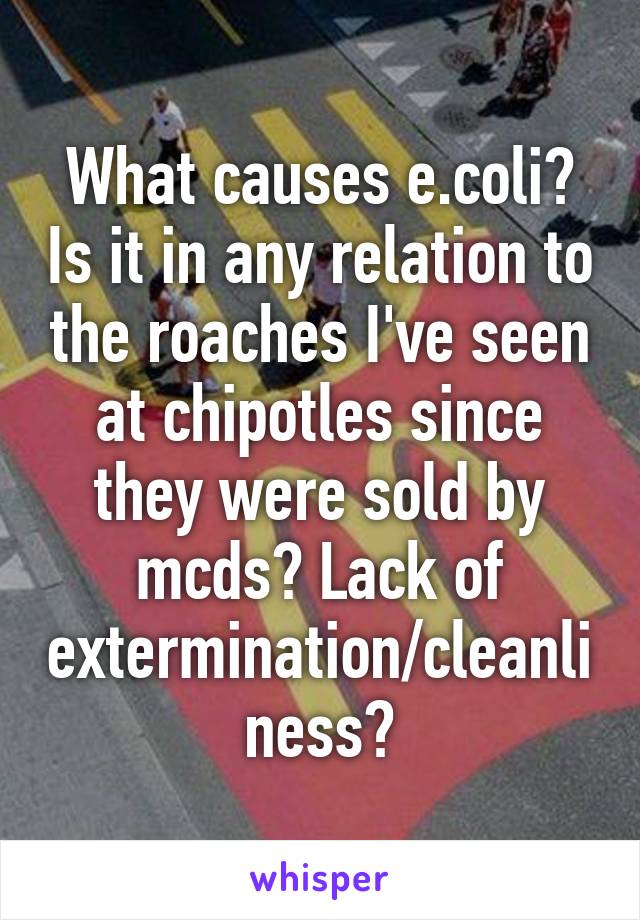 What causes e.coli? Is it in any relation to the roaches I've seen at chipotles since they were sold by mcds? Lack of extermination/cleanliness?