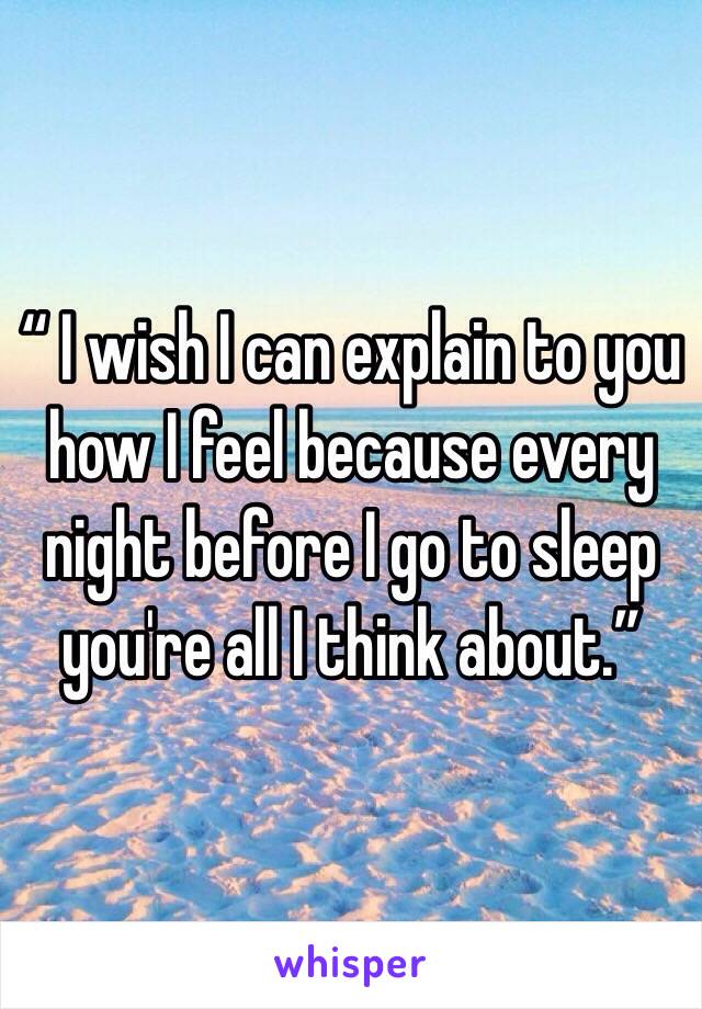 “ I wish I can explain to you how I feel because every night before I go to sleep you're all I think about.”