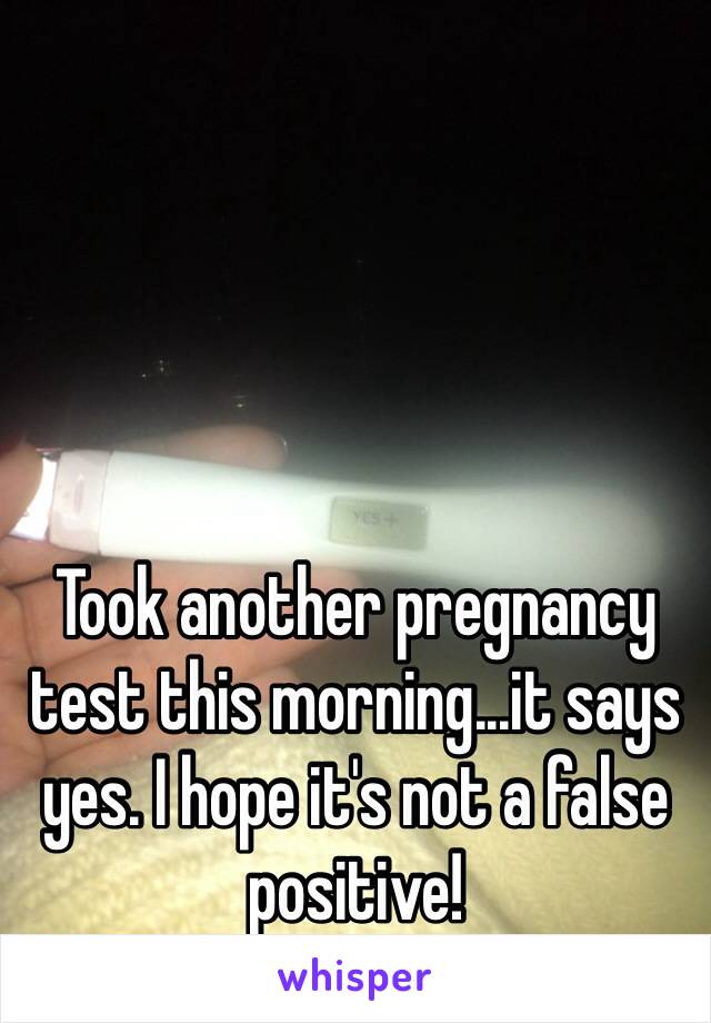 Took another pregnancy test this morning...it says yes. I hope it's not a false positive! 