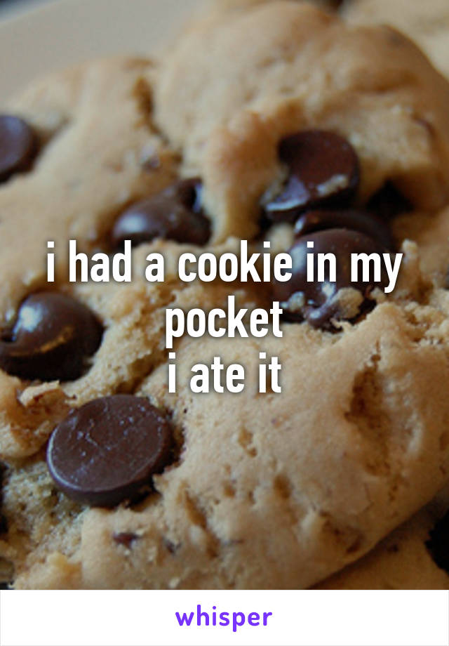 i had a cookie in my pocket
i ate it