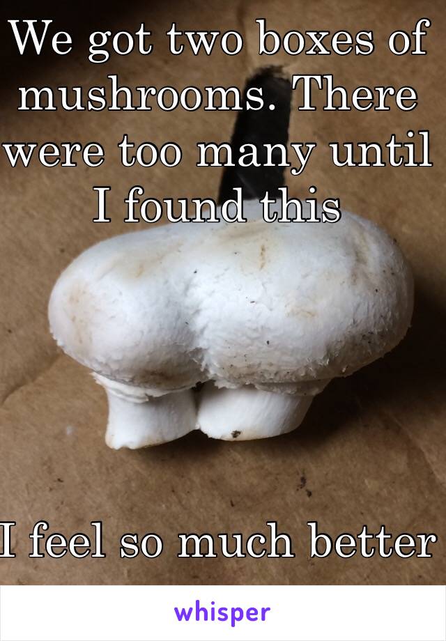 We got two boxes of mushrooms. There were too many until I found this





I feel so much better