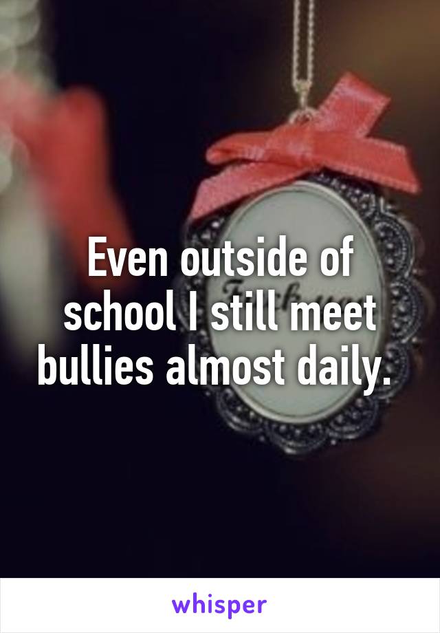 Even outside of school I still meet bullies almost daily. 