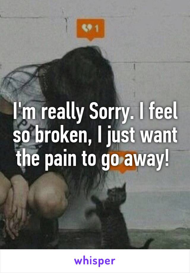 I'm really Sorry. I feel so broken, I just want the pain to go away! 