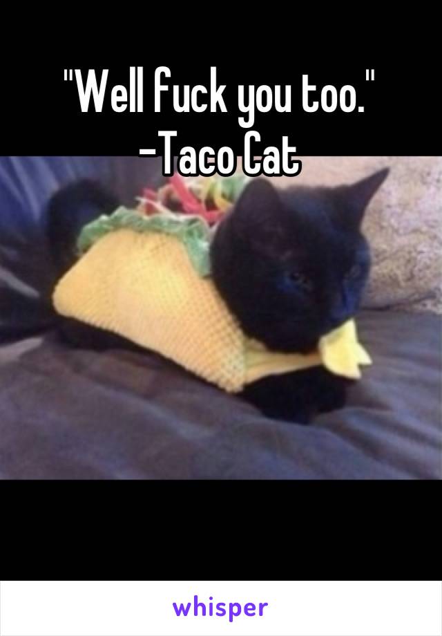 "Well fuck you too."
-Taco Cat