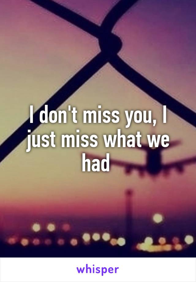 I don't miss you, I just miss what we had 