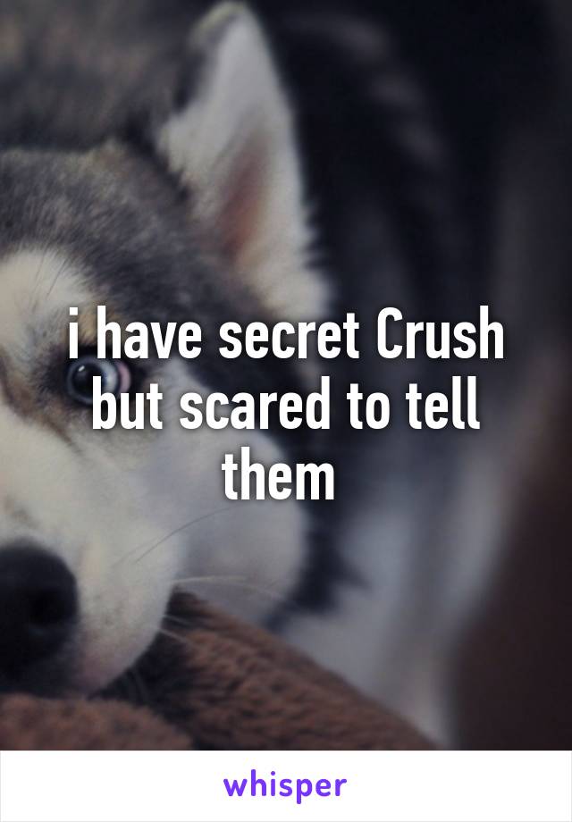 i have secret Crush but scared to tell them 