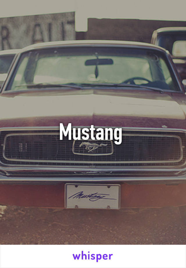 Mustang 