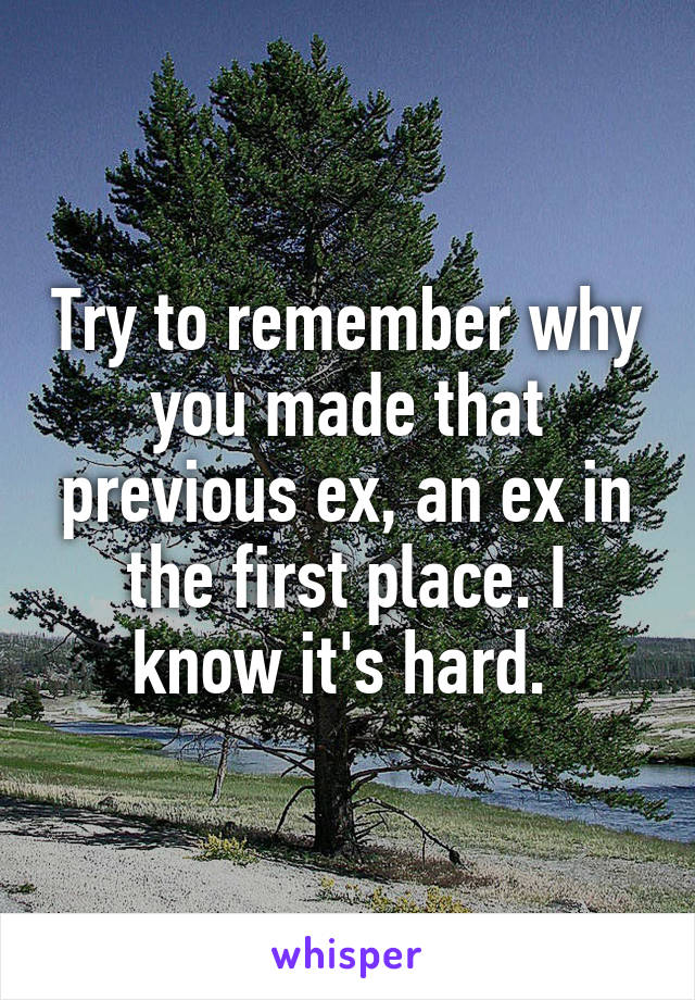 Try to remember why you made that previous ex, an ex in the first place. I know it's hard. 