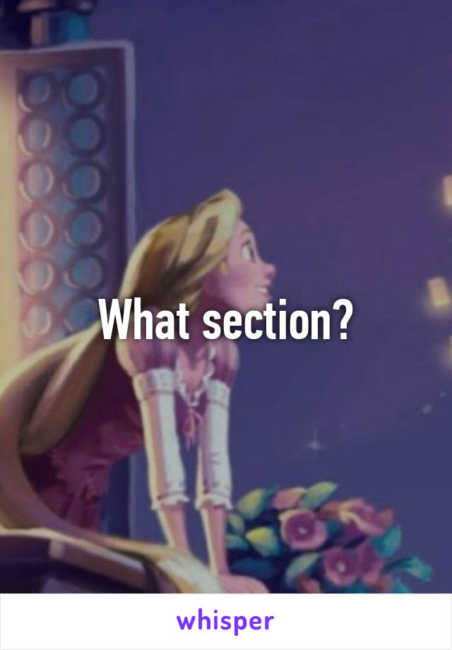 What section?