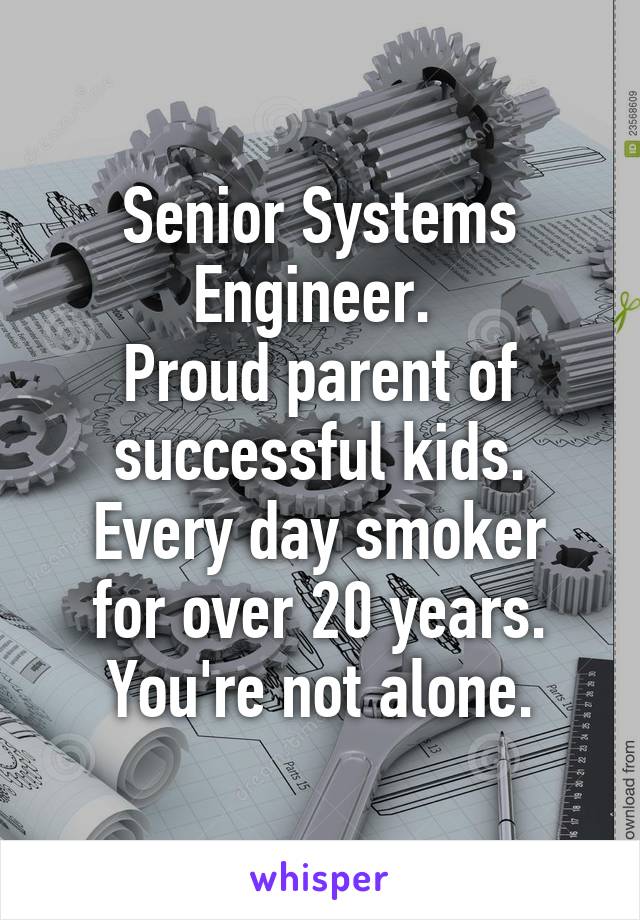 Senior Systems Engineer. 
Proud parent of successful kids.
Every day smoker for over 20 years.
You're not alone.