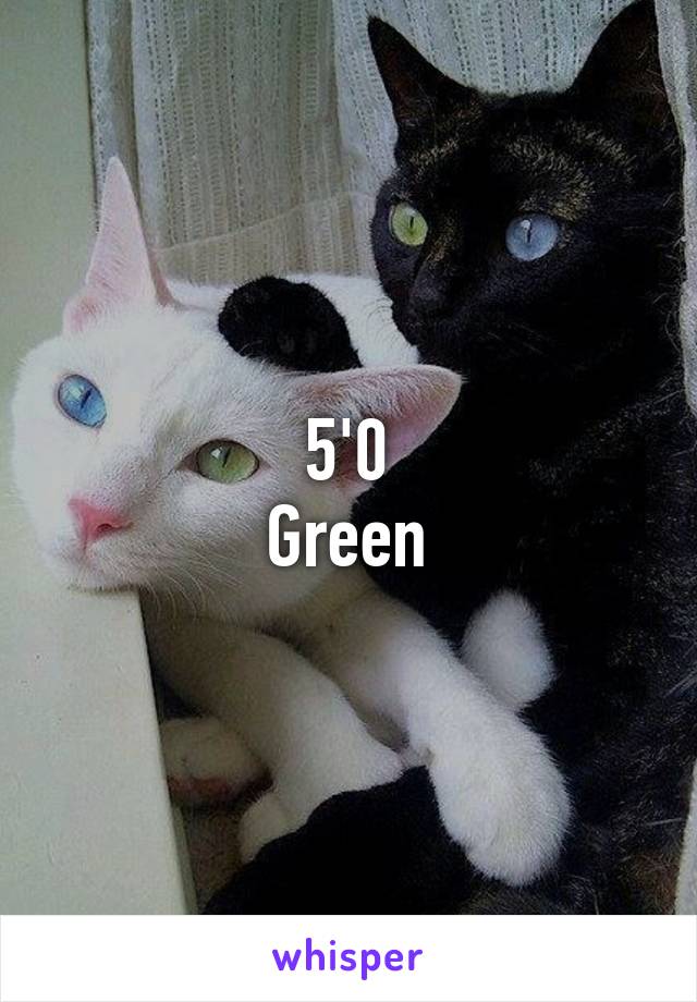 5'0
Green