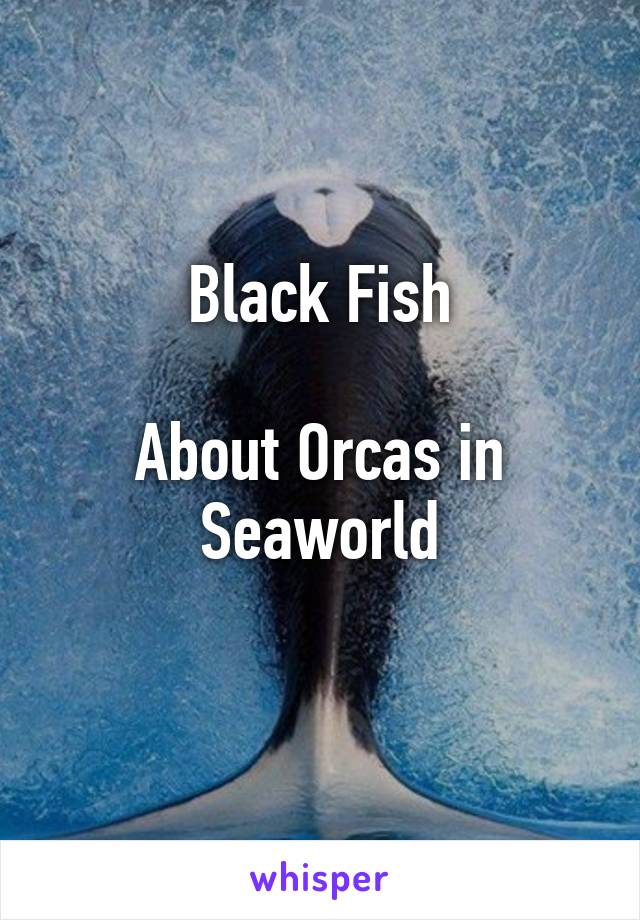 Black Fish

About Orcas in Seaworld
