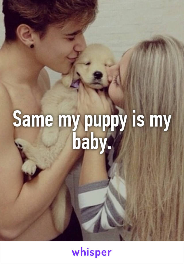 Same my puppy is my baby.