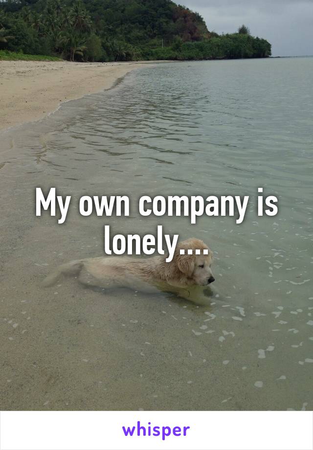 My own company is lonely....