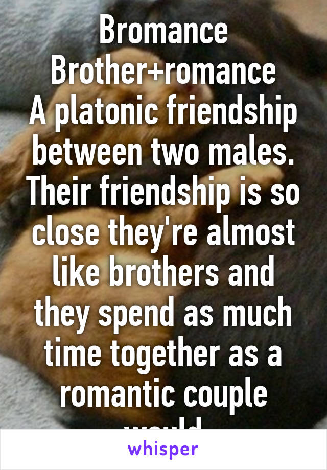 Bromance
Brother+romance
A platonic friendship between two males. Their friendship is so close they're almost like brothers and they spend as much time together as a romantic couple would