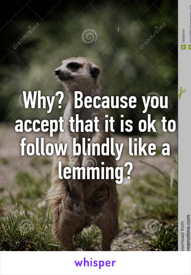 Why?  Because you accept that it is ok to follow blindly like a lemming?