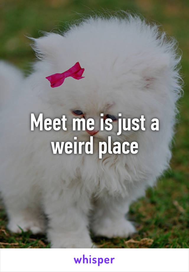 Meet me is just a weird place