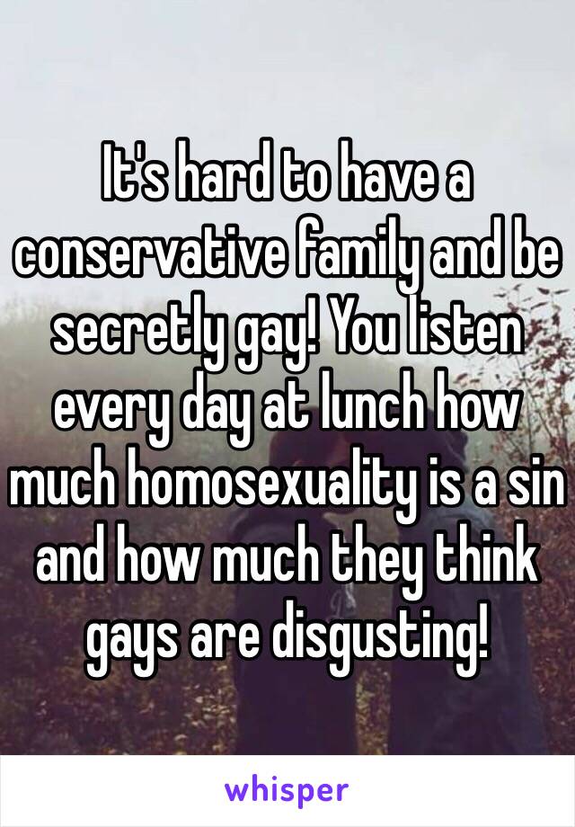 It's hard to have a conservative family and be secretly gay! You listen every day at lunch how much homosexuality is a sin and how much they think gays are disgusting!