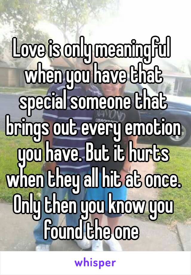 Love is only meaningful when you have that special someone that brings out every emotion you have. But it hurts when they all hit at once. Only then you know you found the one 