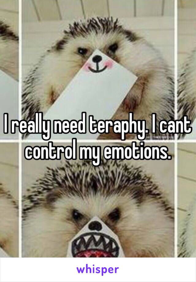 I really need teraphy. I cant control my emotions. 