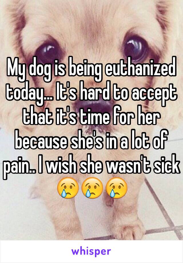 My dog is being euthanized today... It's hard to accept that it's time for her because she's in a lot of pain.. I wish she wasn't sick 😢😢😢