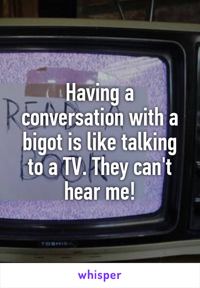 Having a conversation with a bigot is like talking to a TV. They can't hear me!