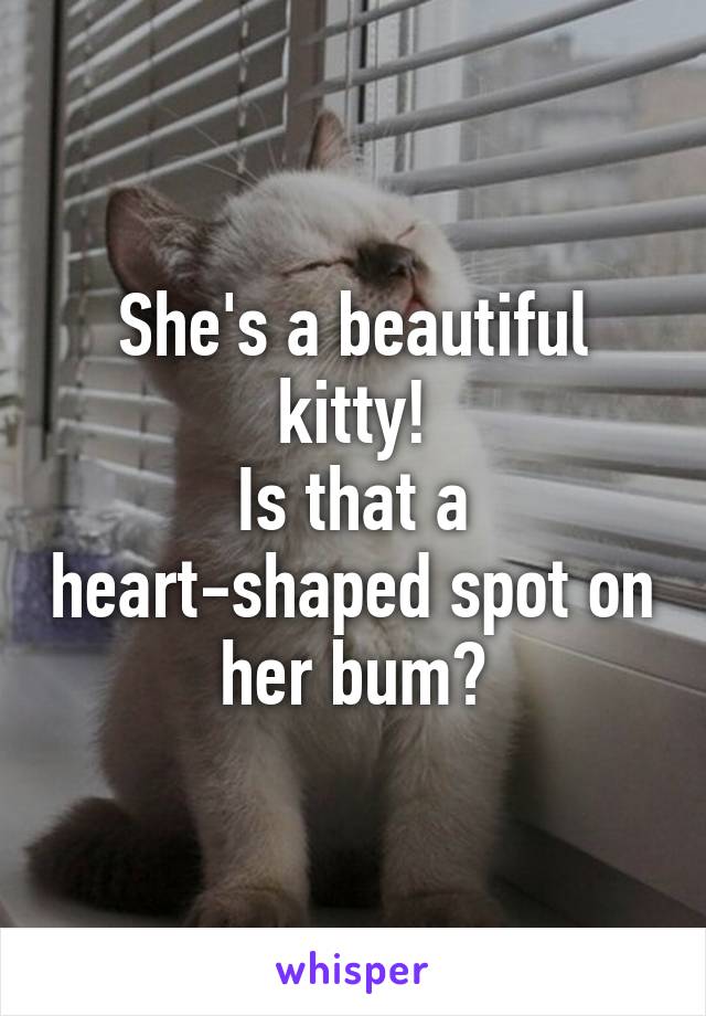 She's a beautiful kitty!
Is that a heart-shaped spot on her bum?