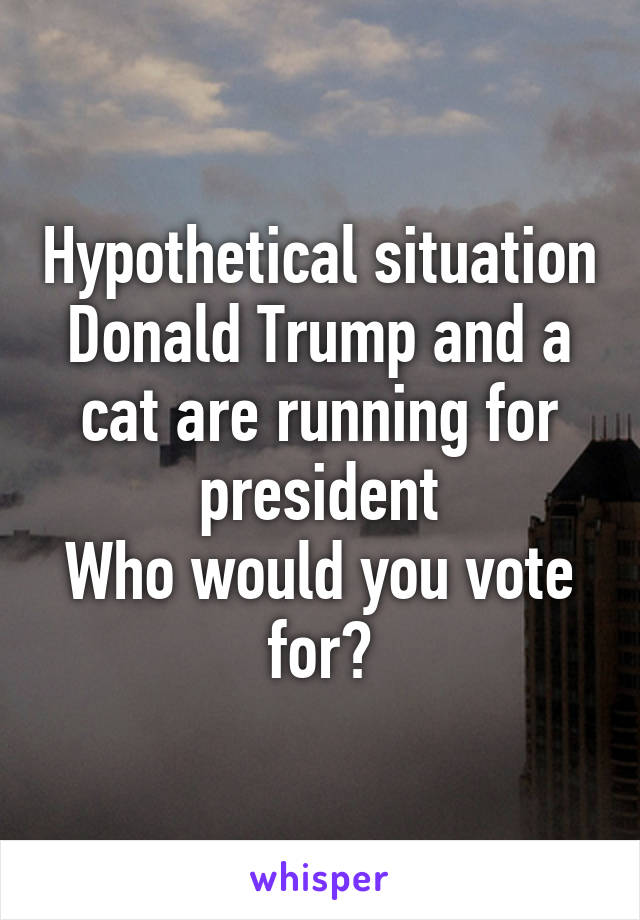 Hypothetical situation
Donald Trump and a cat are running for president
Who would you vote for?