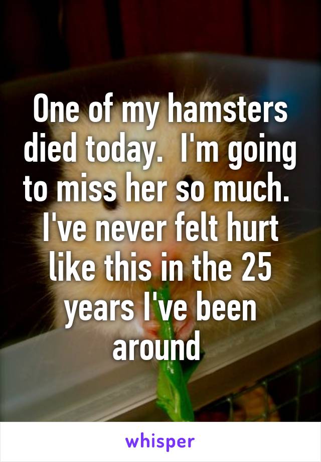 One of my hamsters died today.  I'm going to miss her so much. 
I've never felt hurt like this in the 25 years I've been around 