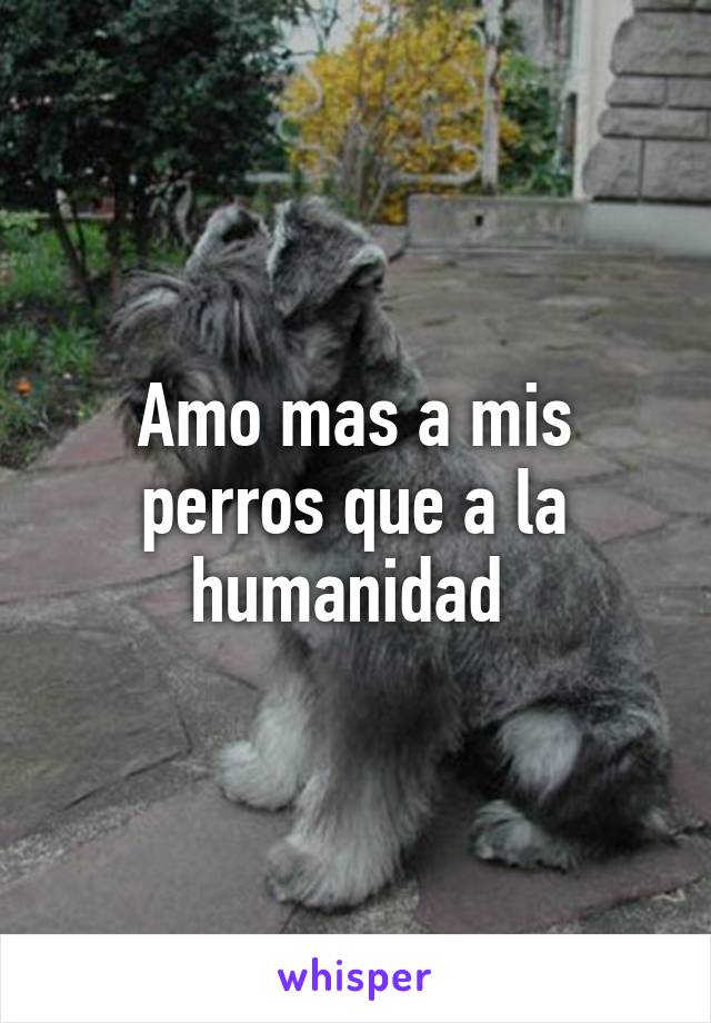 Amo mas a mis perros que a la humanidad 