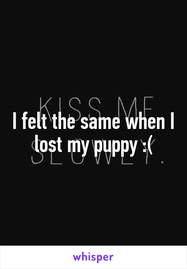 I felt the same when I lost my puppy :(