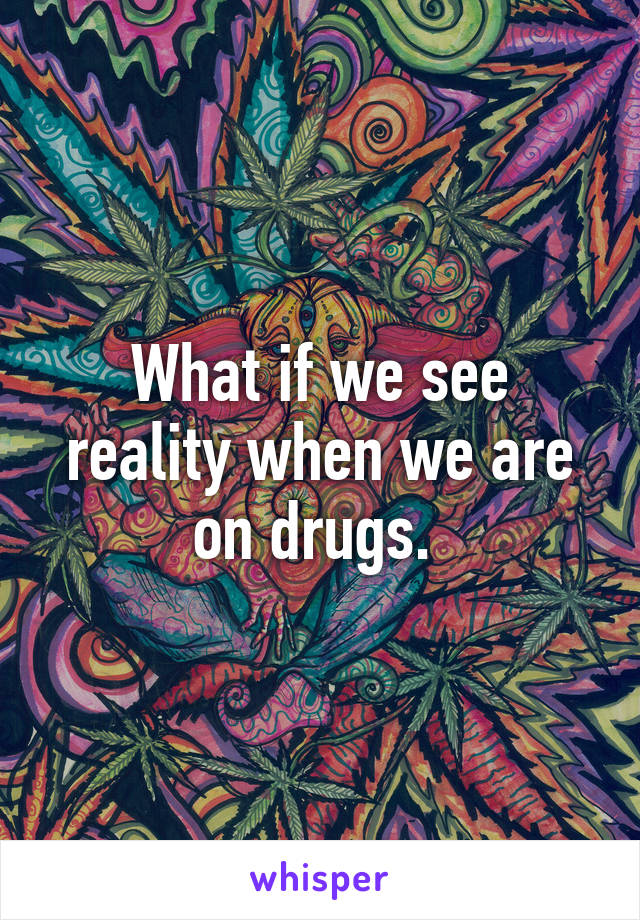 What if we see reality when we are on drugs. 