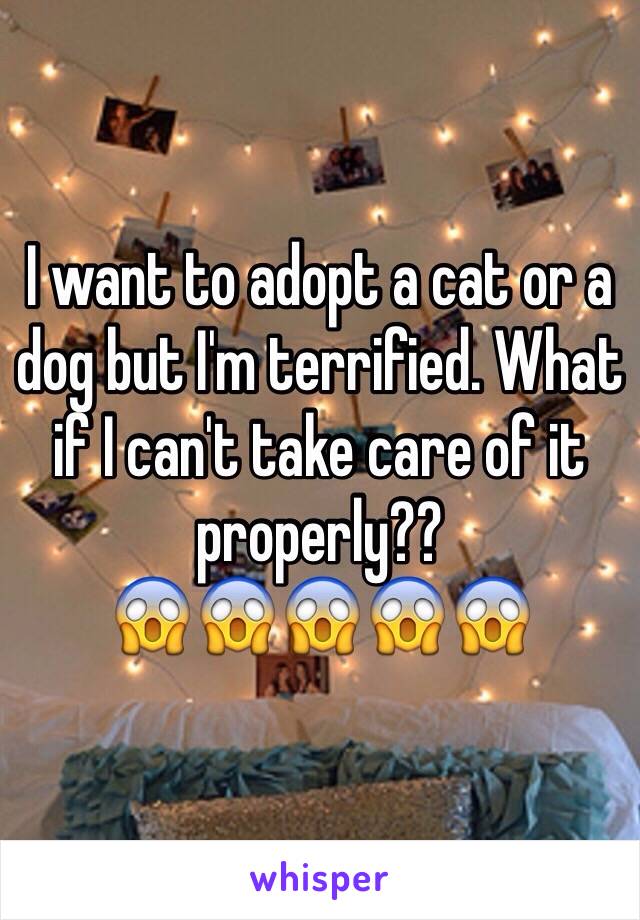 I want to adopt a cat or a dog but I'm terrified. What if I can't take care of it properly??
😱😱😱😱😱