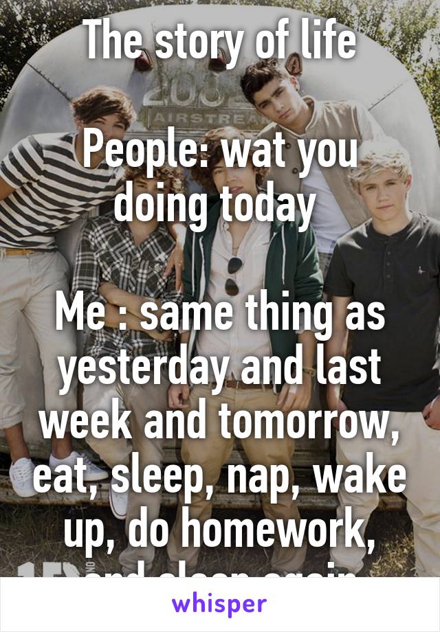 The story of life

People: wat you doing today 

Me : same thing as yesterday and last week and tomorrow, eat, sleep, nap, wake up, do homework, and sleep again