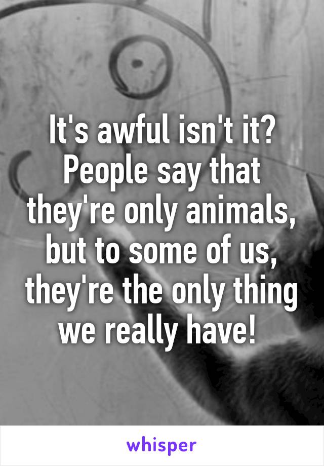 It's awful isn't it?
People say that they're only animals, but to some of us, they're the only thing we really have! 