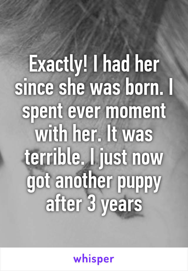 Exactly! I had her since she was born. I spent ever moment with her. It was terrible. I just now got another puppy after 3 years