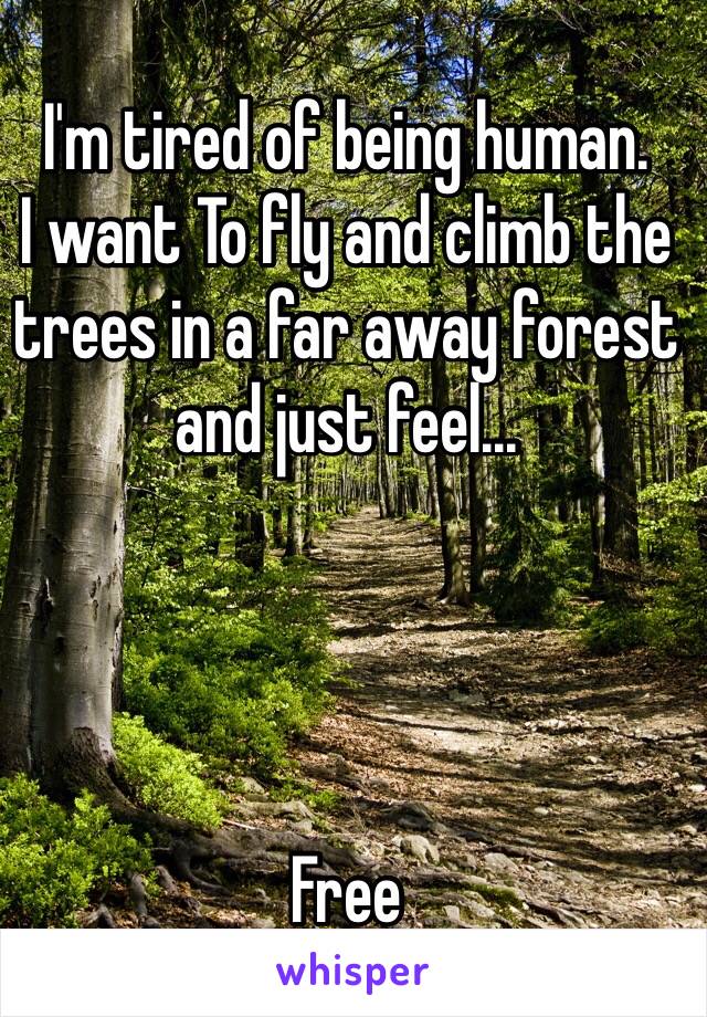 I'm tired of being human.
I want To fly and climb the trees in a far away forest and just feel...




Free