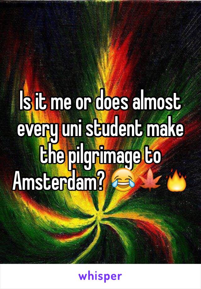 Is it me or does almost every uni student make the pilgrimage to Amsterdam? 😂🍁🔥 