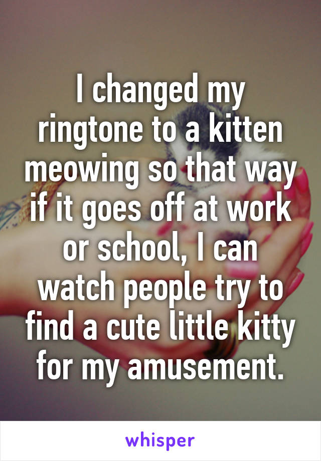 I changed my ringtone to a kitten meowing so that way if it goes off at work or school, I can watch people try to find a cute little kitty for my amusement.