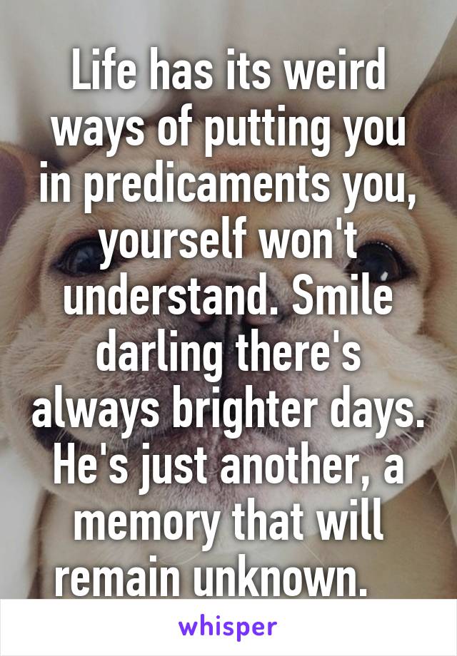 Life has its weird ways of putting you in predicaments you, yourself won't understand. Smile darling there's always brighter days. He's just another, a memory that will remain unknown.   