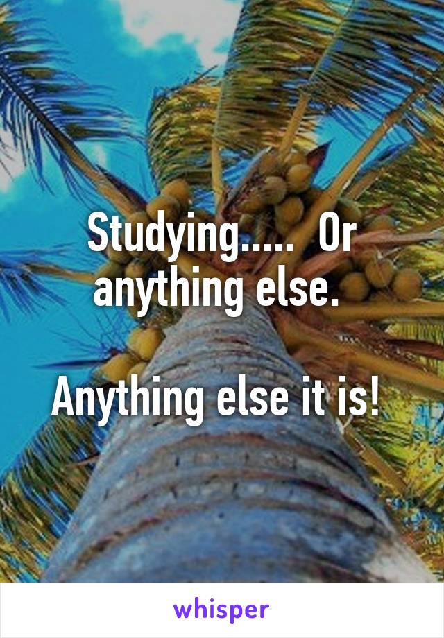 Studying.....  Or anything else. 

Anything else it is! 