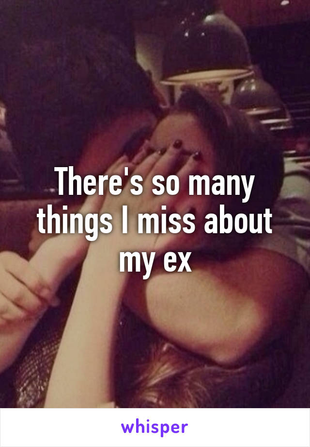 There's so many things I miss about my ex