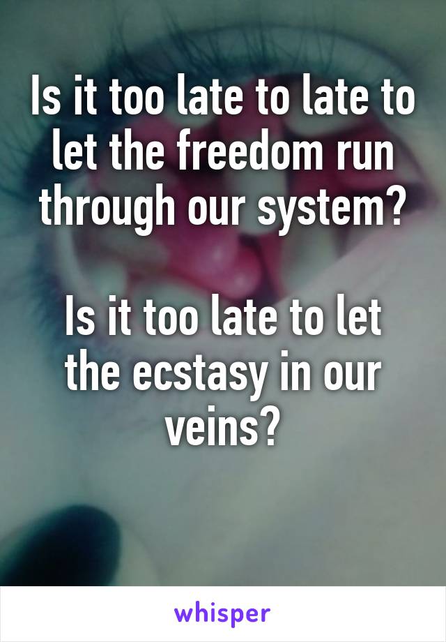 Is it too late to late to let the freedom run through our system?

Is it too late to let the ecstasy in our veins?

